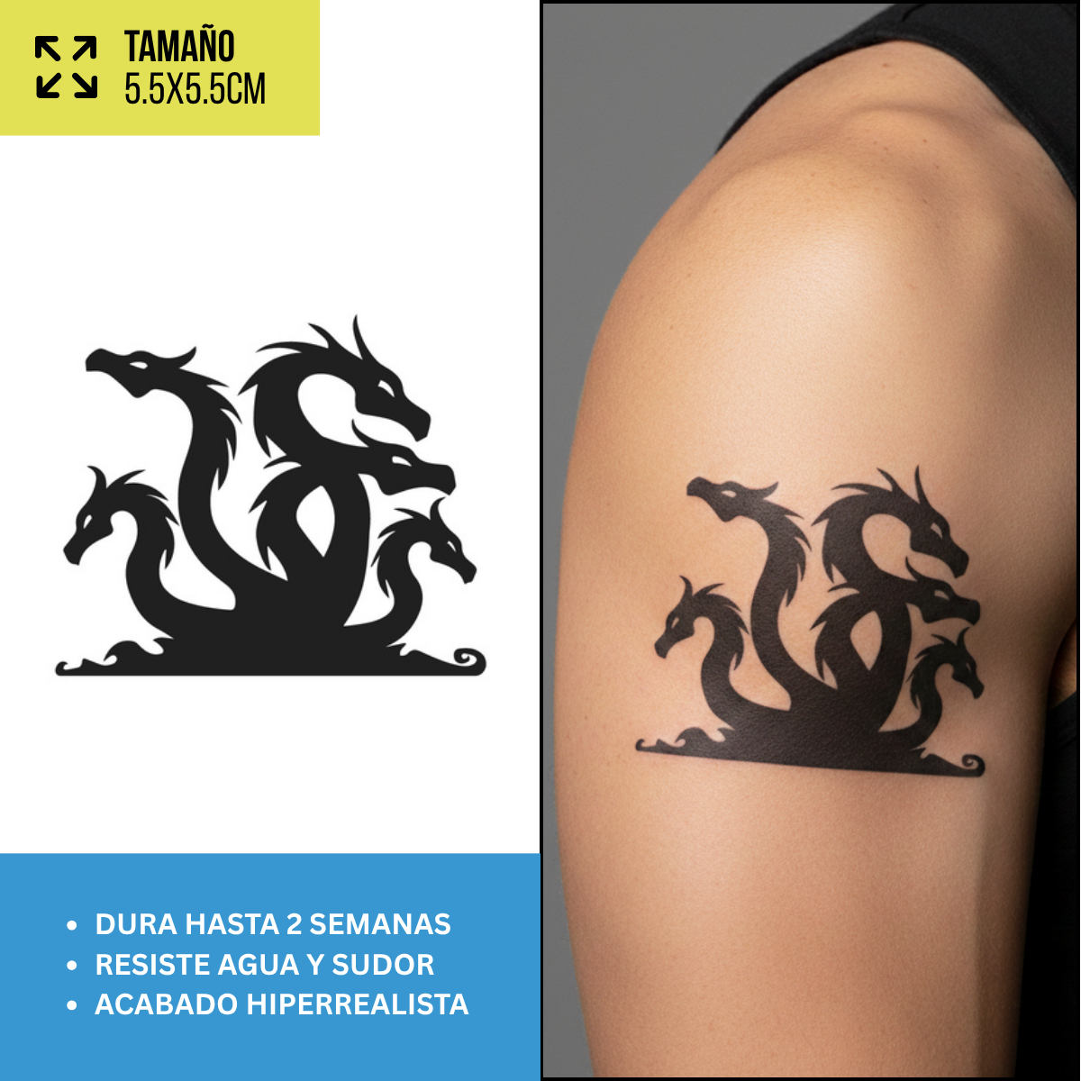 Tatuajes Temporales Serpientes, Dragones y Blackwork  | Hombre y Mujer