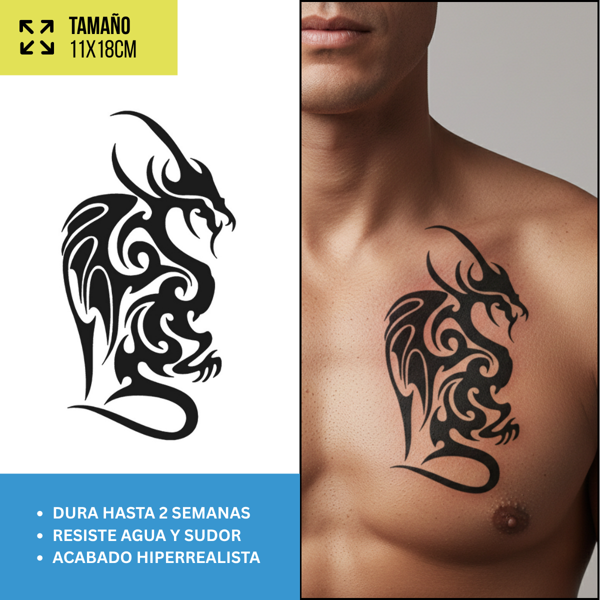 Tatuajes Temporales Dragones & Oriental | Hombre y Mujer