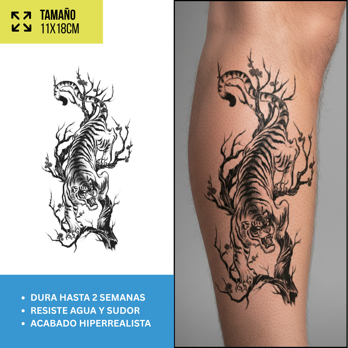 Tatuajes Temporales Dragones & Oriental | Hombre y Mujer