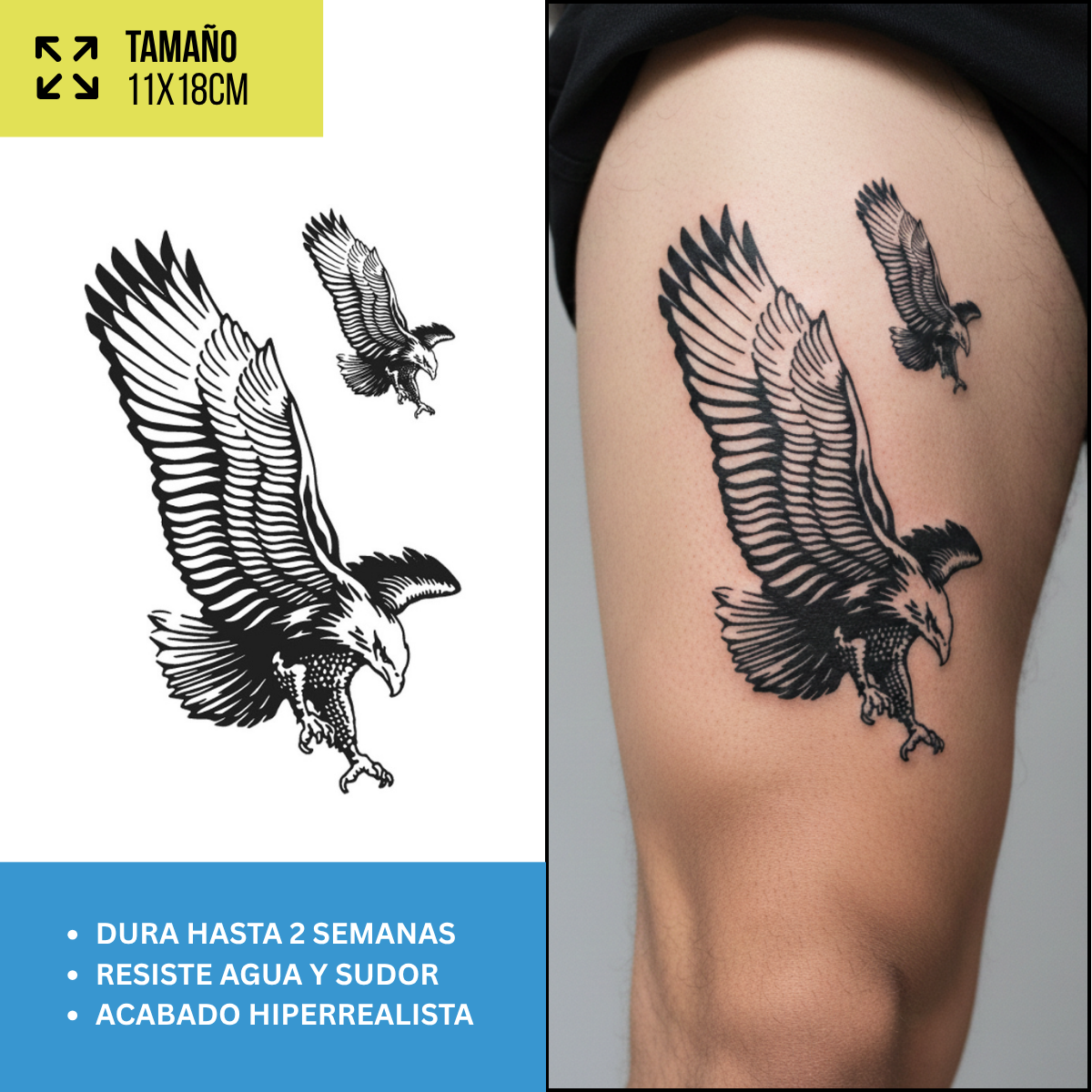 Tatuajes Temporales Náutico & Explorador | Duran Hasta 2 Semanas