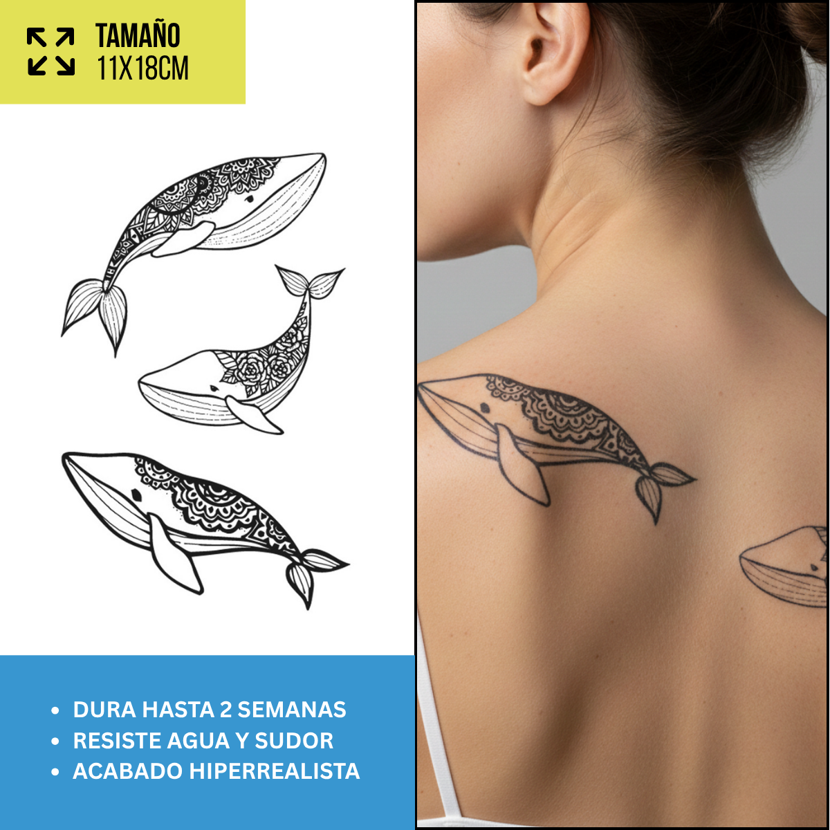 Tatuajes Temporales Náutico & Explorador | Duran Hasta 2 Semanas