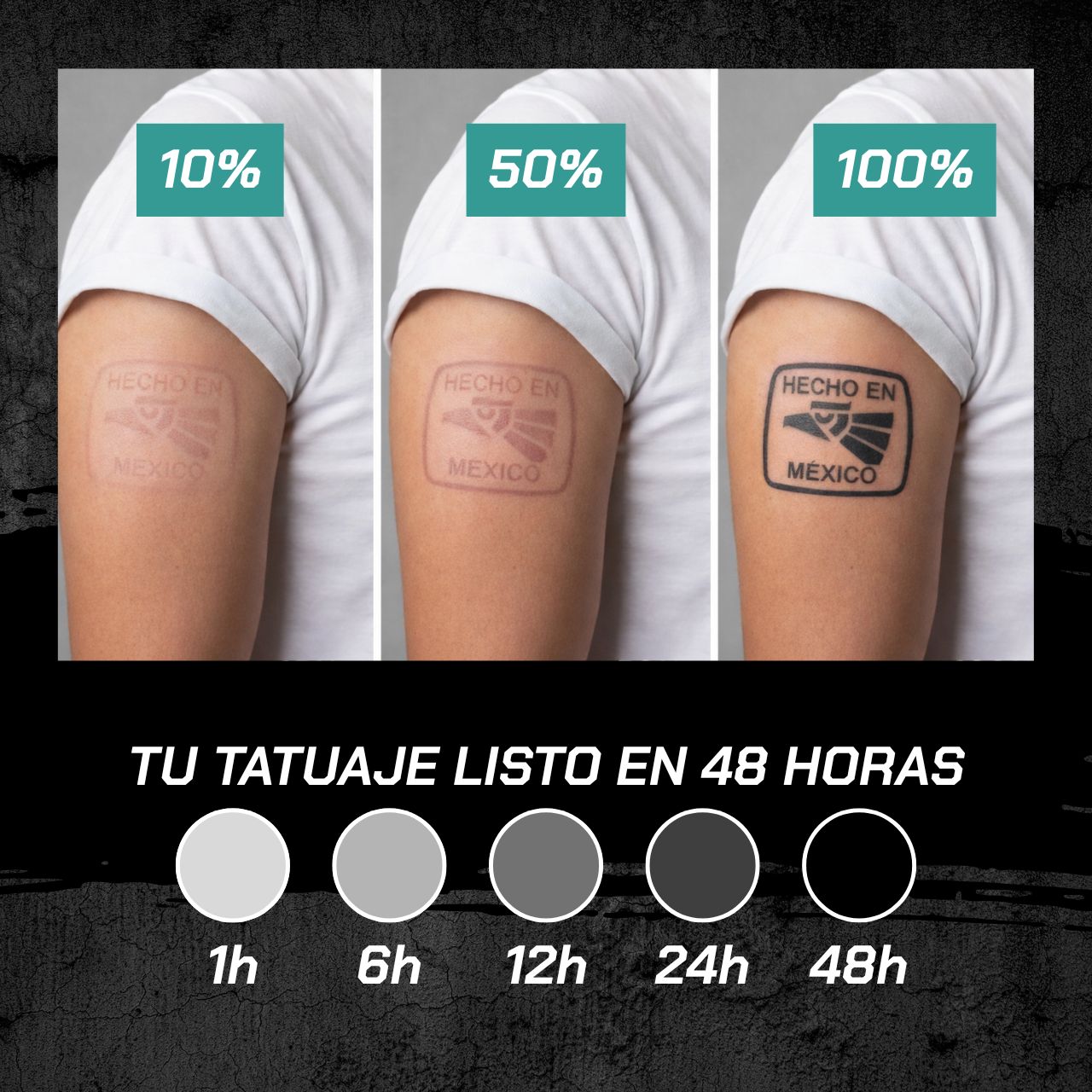 Tatuaje temporal Bichota ilustrado